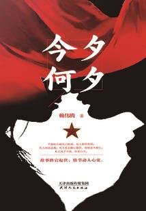 埃及最大地接旅游公司