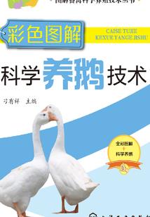 旅游区门楼图纸设计