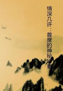 大v启辰自驾