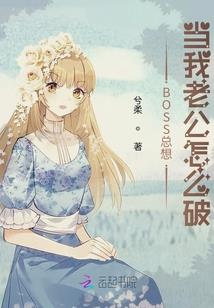 旅游公司张总简介