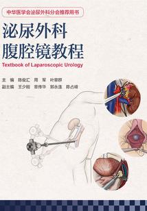 乡村旅游新能源项目