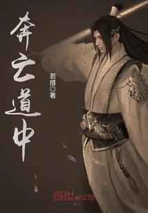 退休老人自驾游