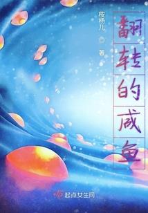 英国旅游签证单身女