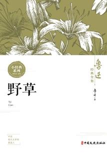 墨西哥度假旅游安全吗