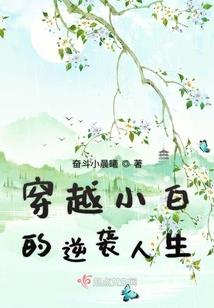 北海旅游小电驴价格多少