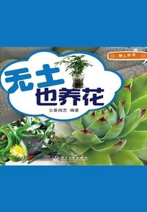 自驾威驰fs西藏自驾游