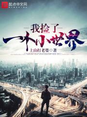 旅游开发项目报建流程图