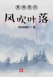 今日阿坝理县旅游路线