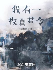 虚拟旅游攻略视频