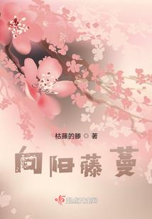 旅游区办公