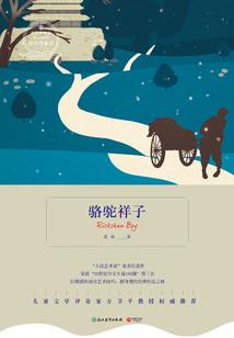 旅游公交怎么设计路线
