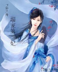 老外自驾房车视频大全