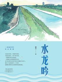 沙滩旅游团航拍