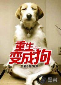 乐山旅游车停哪里比较好