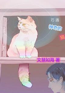 上海旅游攻略10天