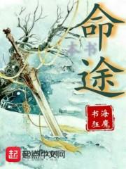现在日本旅游签证五年