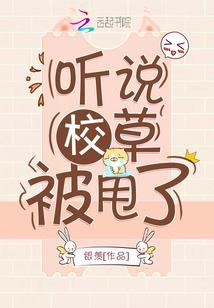 新疆旅游要花几天时间