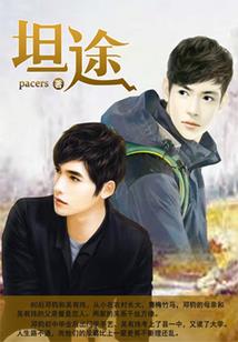 藏区旅游地图 高清