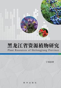 北京九华山旅游景点图片