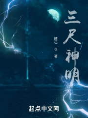 旅游公司网络部职责