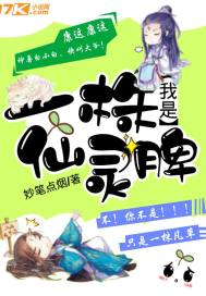 长沙到仙台自驾路线攻略