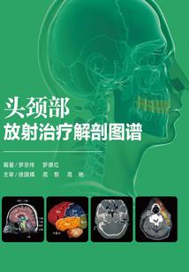 勉县出发旅游团价格多少