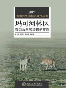 巨野映像金山旅游度假区