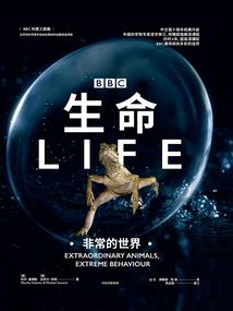 体育生必玩的十大项目游戏
