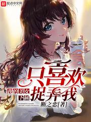 蜂窝旅游团