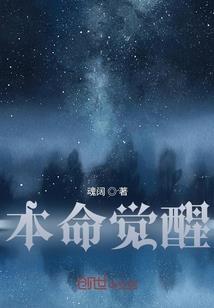 中欧旅游列车价格对比表
