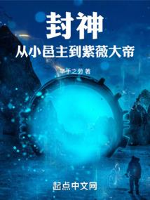 法国瑞士自驾注意