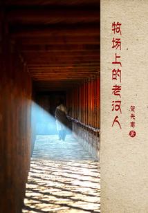 晴朗适合旅游的地方