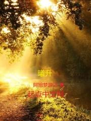 节日旅游价格低