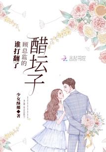 黔西到玉溪旅游路线