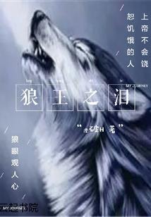 叶城哪里露营好玩