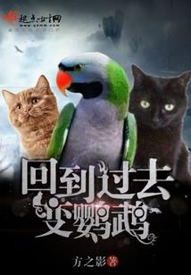 来日照旅游
