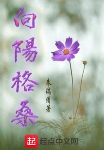 四川泸县春节旅游景点