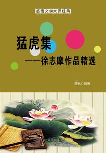 盐城斗龙港旅游度假区网红