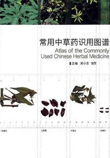 越南旅游签证多久签一次