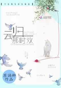 鞋底环球旅游901天