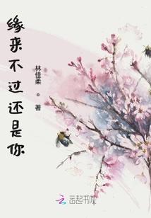 旅游住宿在哪里便宜