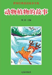 适合越野旅游的车