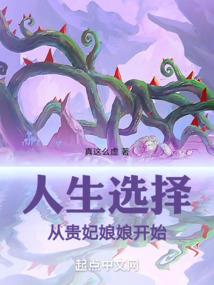 海边旅游团飞机