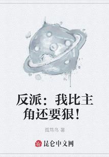 新疆观鸟旅游地图高清