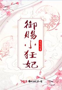 神龙井旅游度假区在哪里