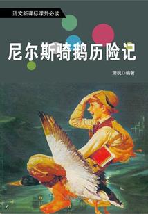 泸沽湖鸟岛游船 自驾