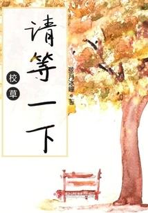 魏宁海旅游拍照探店价格