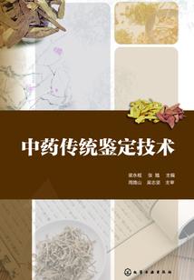 红安去哪里旅游好耍点儿