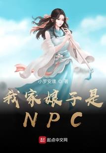 赴新疆旅游住宿