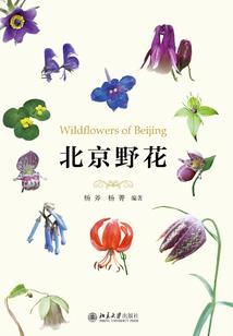 古晋瀑布旅游路线地图